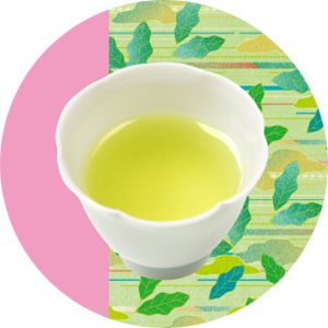 2026 新茶