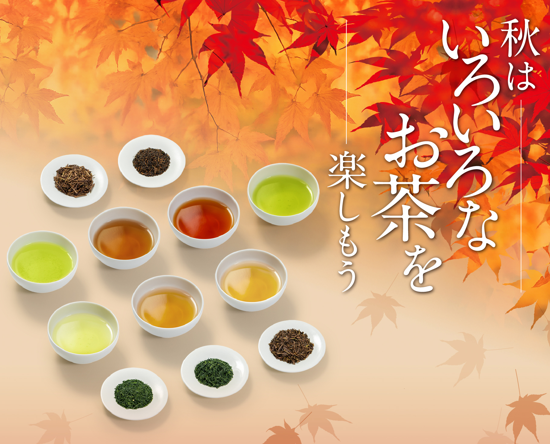 秋のお茶